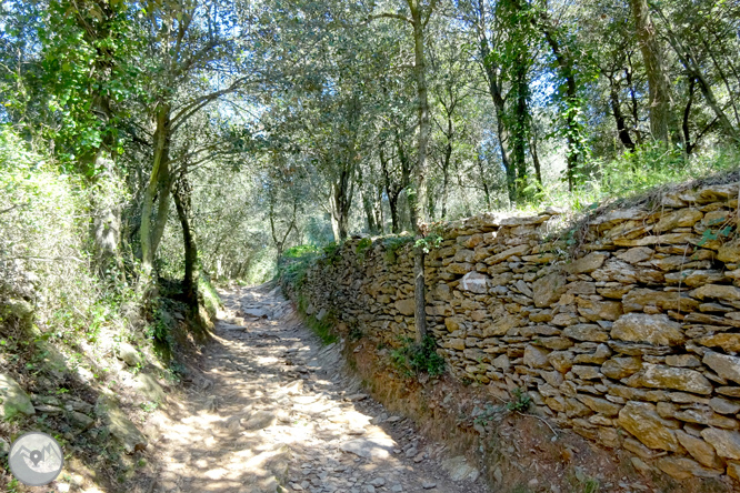 El castillo de Sant Miquel desde Gerona 1 