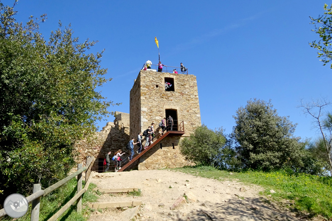 El castillo de Sant Miquel desde Gerona 1 