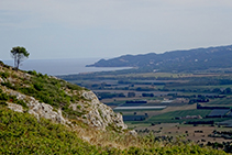 Vistas a la llanura aluvial del Ter y la montaña de Begur desde el collado de Garrigars.