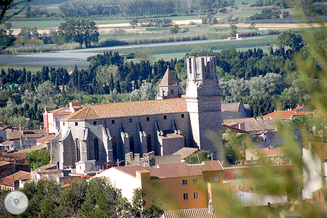 Castillo del Montgrí y zona de interès natural de les Dunes 1 