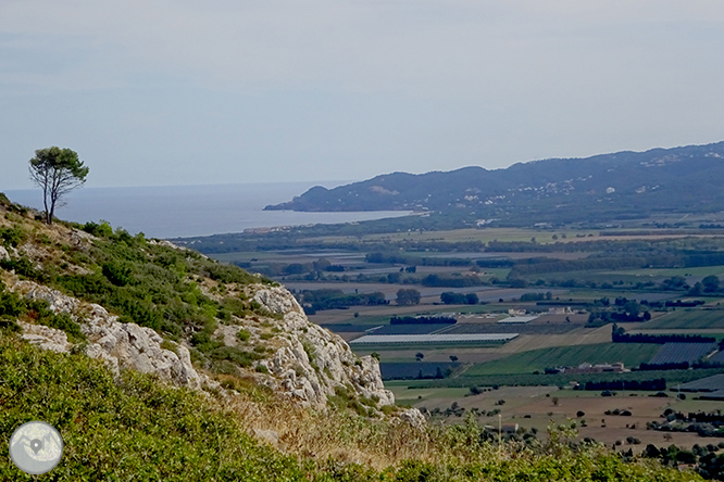 Castillo del Montgrí y zona de interès natural de les Dunes 1 