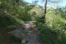 Subimos por la ladera de la montaña.