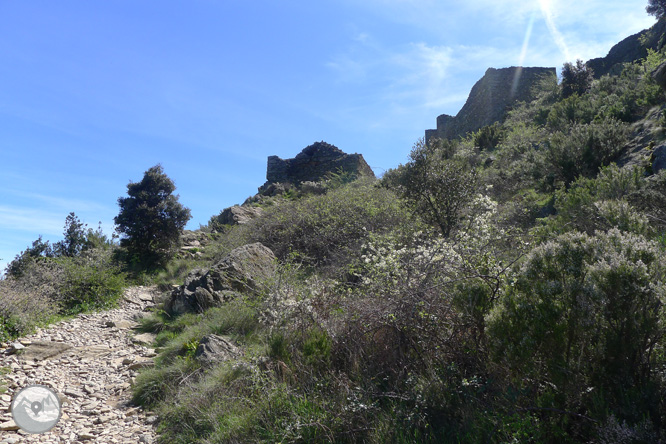 Castillo de Sant Salvador de Verdera desde Sant Pere de Rodes  1 