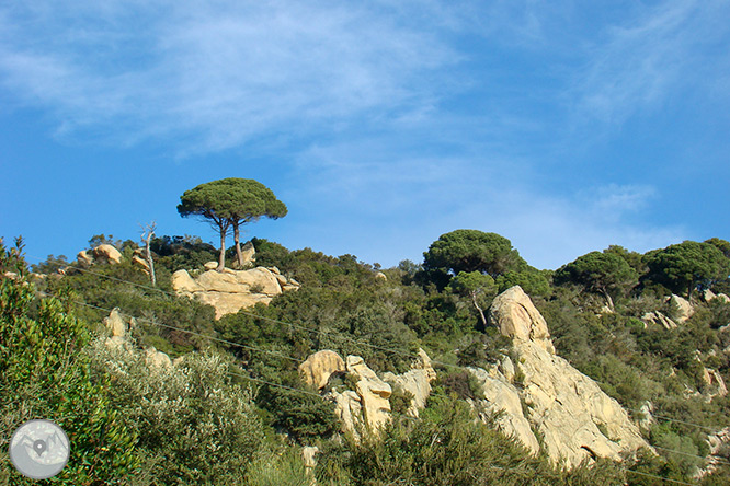 El castillo de Burriac y el Camino de las Fuentes desde Argentona 1 