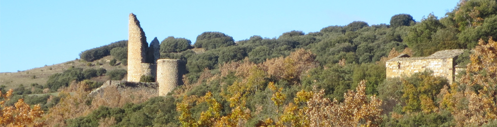 Castillo de Sant Gervàs