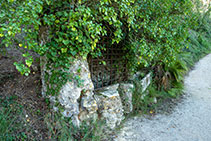 Pozo de Els Matxos, agujero profundo recubierto de piedra seca que capta las aguas subterráneas.