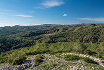 Vistas panorámicas desde la torre.