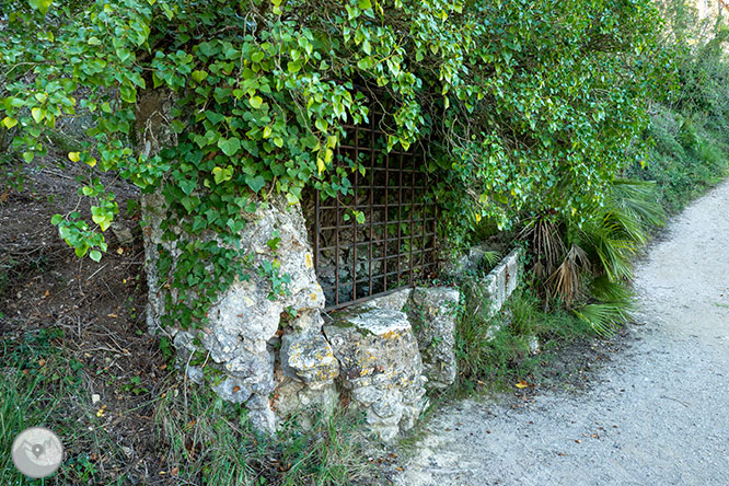 Camino del Castillo Viejo de Olivella 1 