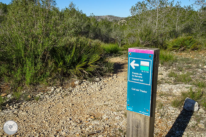 Camino del Castillo Viejo de Olivella 1 