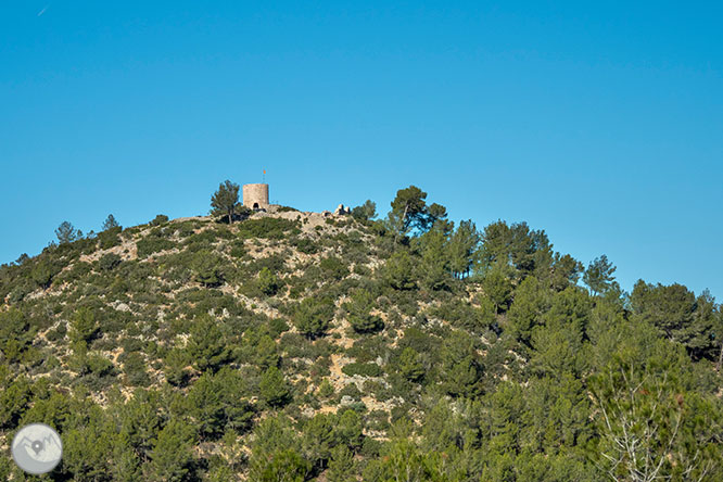 Camino del Castillo Viejo de Olivella 1 