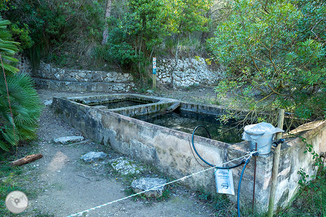 Camino del Castillo Viejo de Olivella 1 