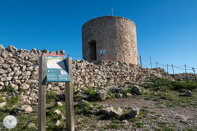 Camino del Castillo Viejo de Olivella 1 