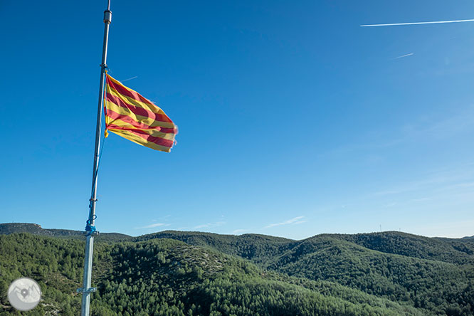 Camino del Castillo Viejo de Olivella 1 