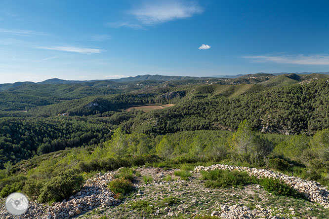 Camino del Castillo Viejo de Olivella 1 