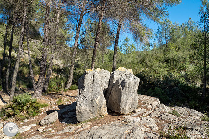 Camino del Castillo Viejo de Olivella 1 