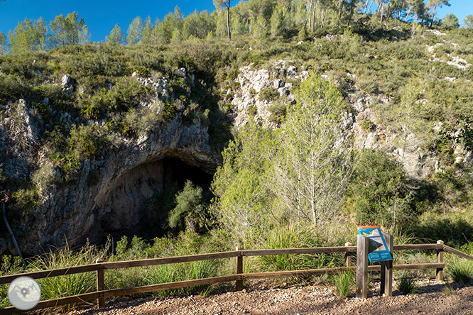 Camino del Castillo Viejo de Olivella 1 