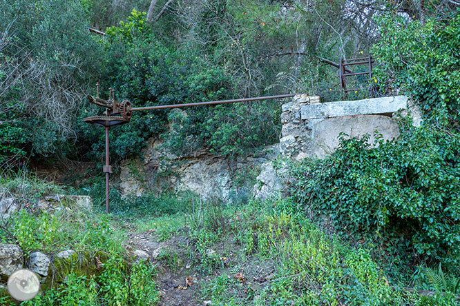 Camino del Castillo Viejo de Olivella 1 