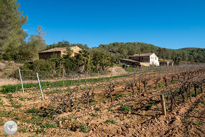 Camino del Castillo Viejo de Olivella 1 