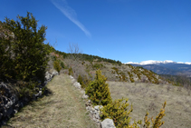 Camino al collado de Cristià.