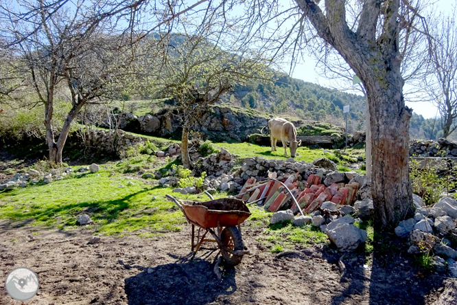 Cava y Querforadat en la cara norte del Cadí 1 