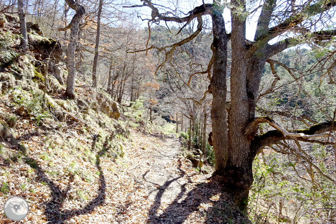 Cava y Querforadat en la cara norte del Cadí 1 