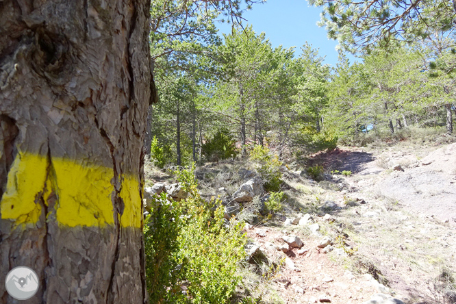 Cava y Querforadat en la cara norte del Cadí 1 