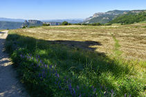 Vistas hacia la Agullola de Rupit desde el llano del Quintà de Casadevall.