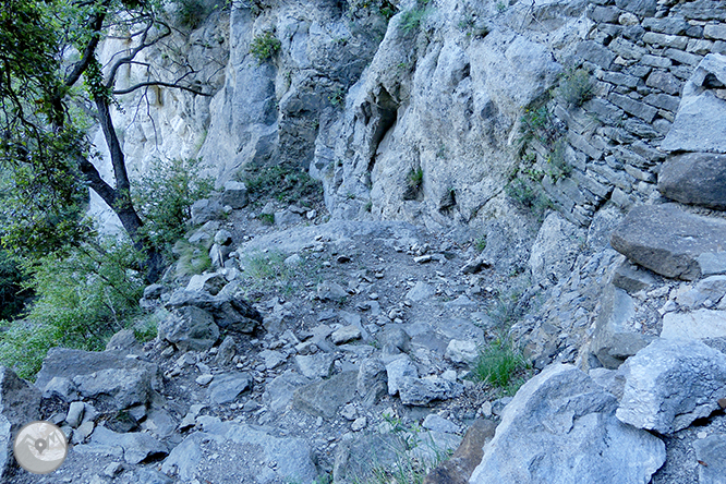 El salto de Sallent y los riscos de Casadevall desde Rupit 1 