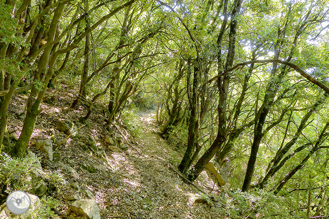 El salto de Sallent y los riscos de Casadevall desde Rupit 1 