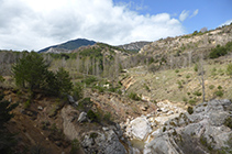 Arroyo de Bosons y Vallcebre.