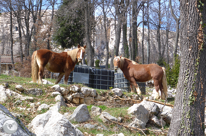 Ruta circular por los Cingles de Vallcebre 1 