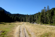 El sendero avanza plácidamente.