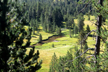 Valle de fondo plano afectado por un proceso de rellenado de sedimentos, con el río formando las "aguas torcidas".