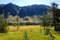 Vista de las canales que bajan de la sierra de Sendrosa.