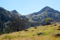 Vistas al collado y al pico de Sendrosa.