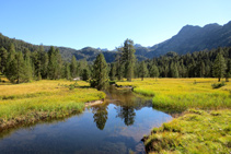 El río de Aiguamòg forma las Aigües Tòrtes entre prados y pinos negros.