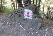 Marca de pintura en la roca con una cabeza de rebeco y las iniciales P y N en rojo: símbolo de la zona-corazón del Parque Nacional.