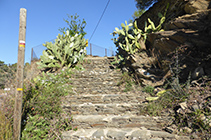 Escaleras.