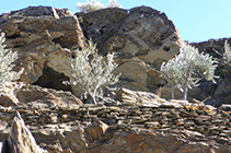 Extrañas formas de las rocas erosionadas por el viento y la sal.