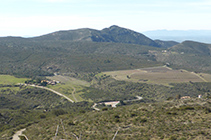 Vistas del Mas Sa Perafita y los viñedos de la bodega Martín Faixó.