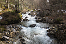 El deshielo de la primavera hace que el río de Aspe baje caudaloso durante esta época del año.