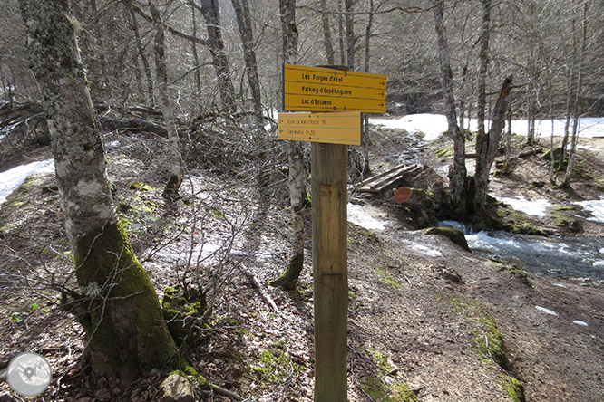 Circular por la cabecera del valle de Aspe desde Sansanet 1 