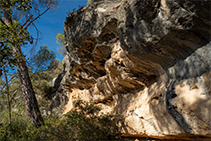 Cuevas de Can Castellví.