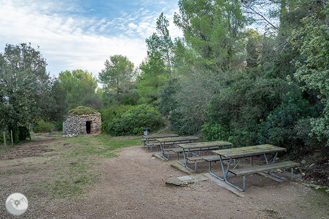 Circular por la Montaña de Olèrdola 1 