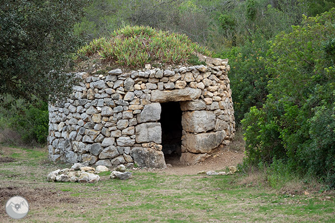 Circular por la Montaña de Olèrdola 1 