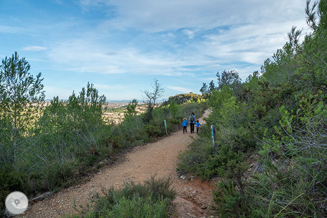 Circular por la Montaña de Olèrdola 1 