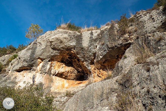 Circular por la Montaña de Olèrdola 1 