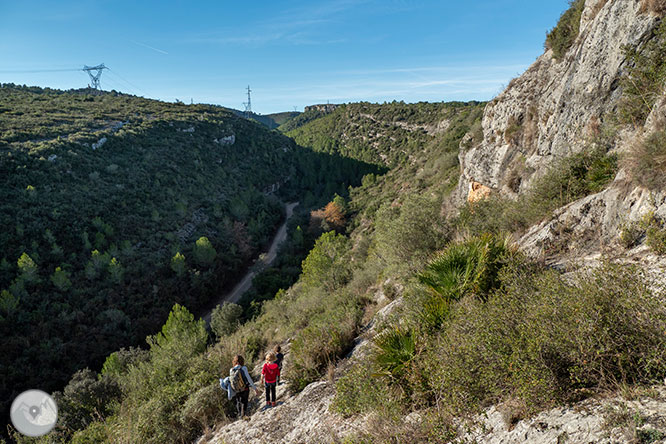 Circular por la Montaña de Olèrdola 1 