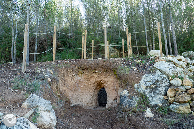 Circular por la Montaña de Olèrdola 1 