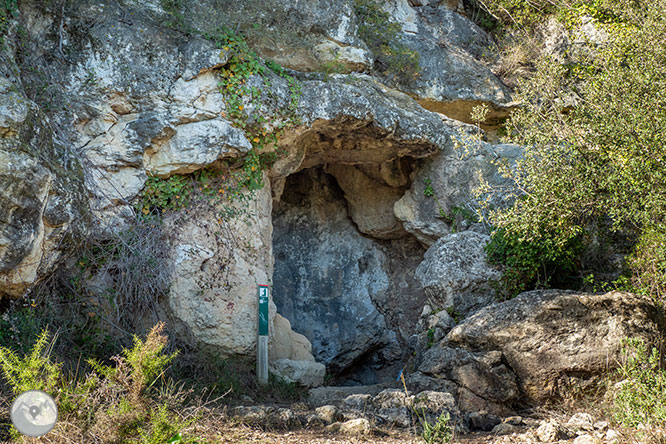 Circular por la Montaña de Olèrdola 1 